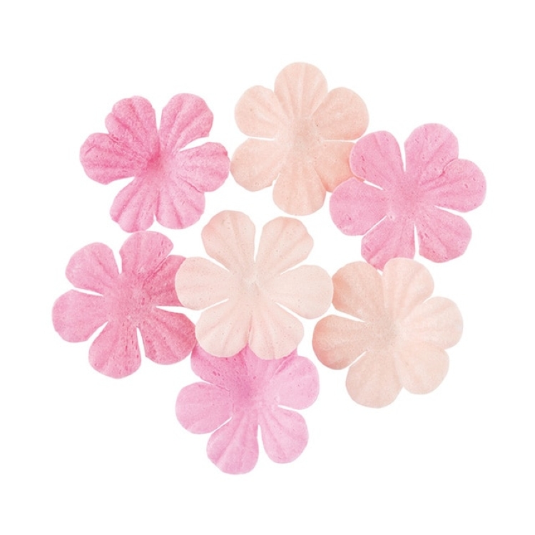 サクラCA バスコンフェッティ テマリザクラ