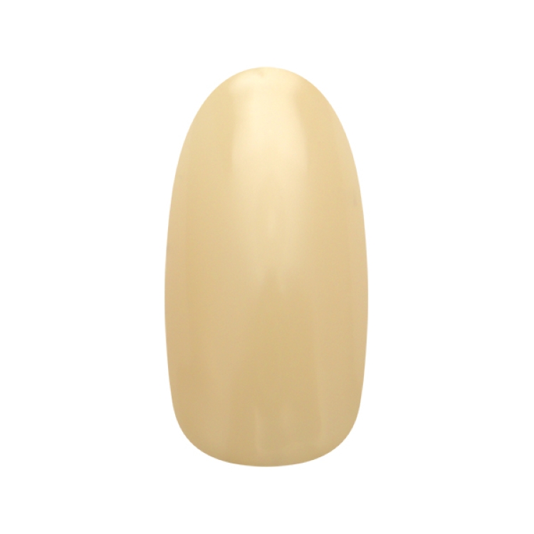 お取り寄せ ネイルパフェ カラージェル　シアーニュアンス　212