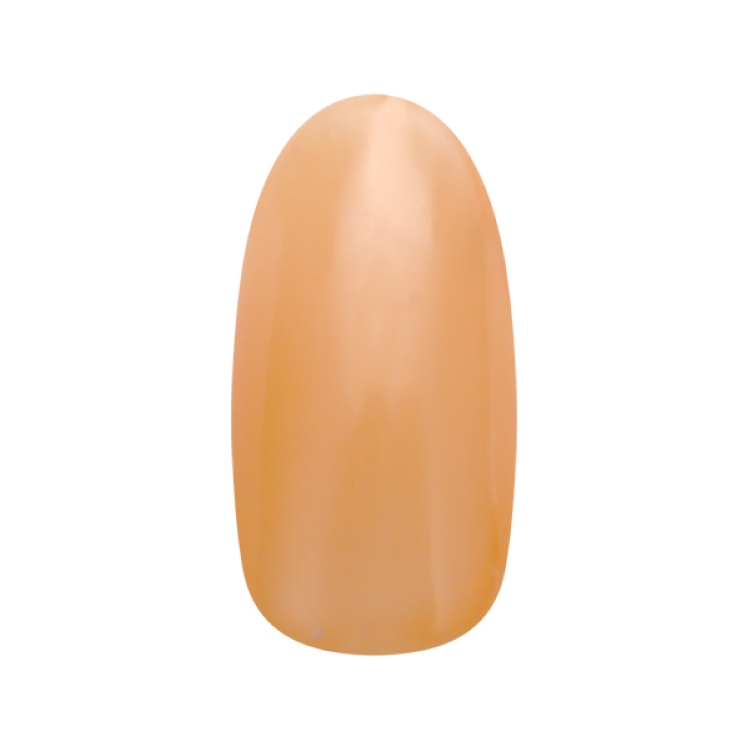 お取り寄せ ネイルパフェ カラージェル　シアーニュアンス　213