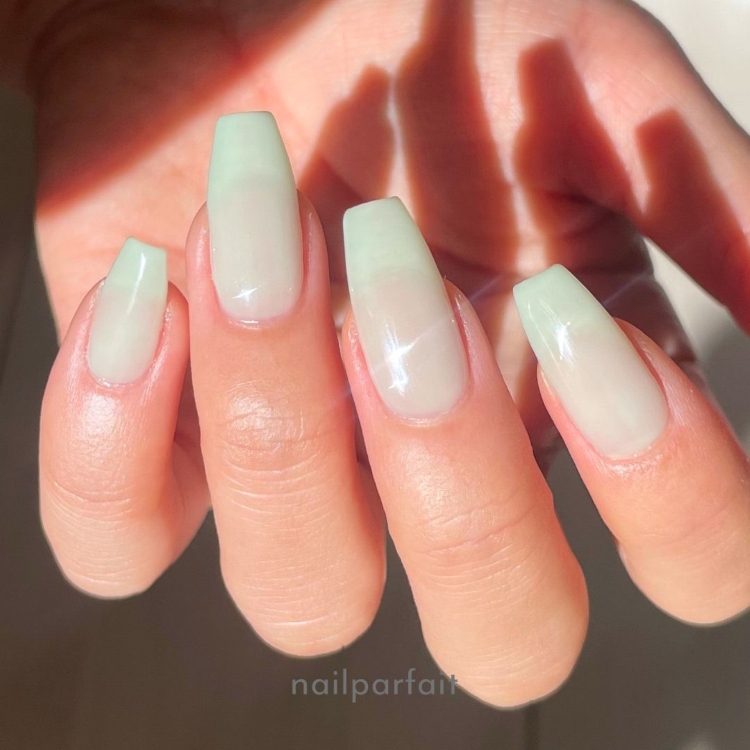 お取り寄せ ネイルパフェ カラージェル　シアーニュアンス　214