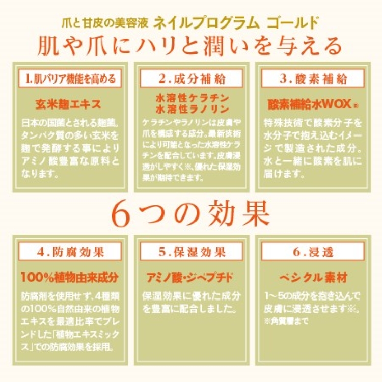 NFS ネイルプログラムゴールド 40ml