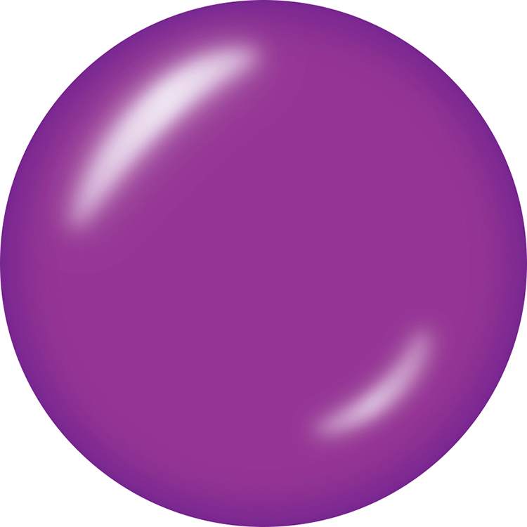 KOKOIST ボトルンゴーカラージェル 10mL BC-57 Party Purple