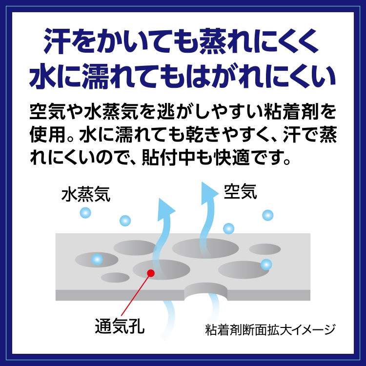 お取り寄せ ニチバン ＢＷ足裏プロテクター Ｌサイズ