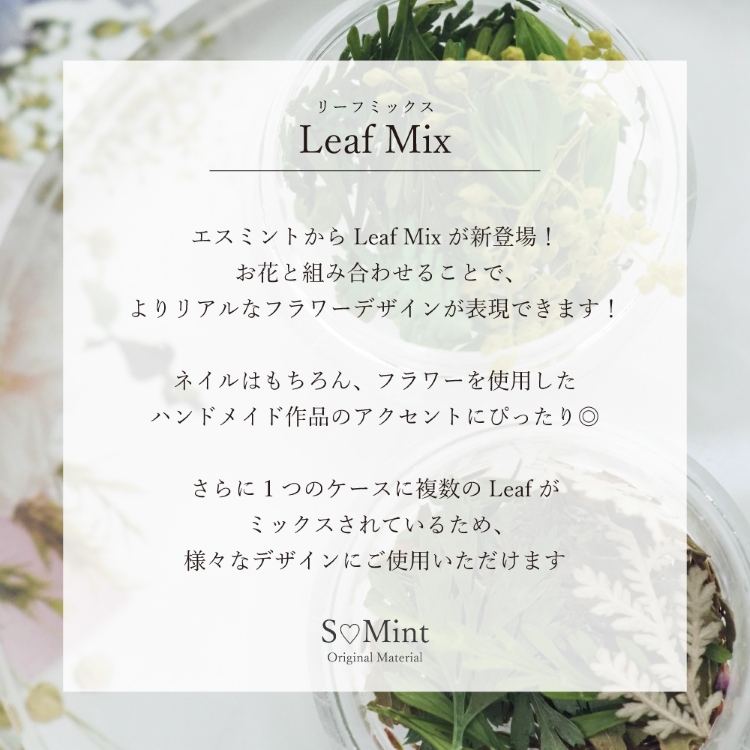 SMint Leaf Mix　LEM-2