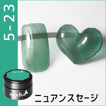 5-23ニュアンスセージ