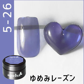 5-26ゆめみレーズン