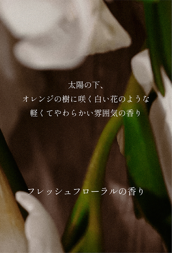 【フレッシュフローラルの香り】太陽の下、オレンジの樹に咲く白い花のような軽くてやわらかい雰囲気の香り