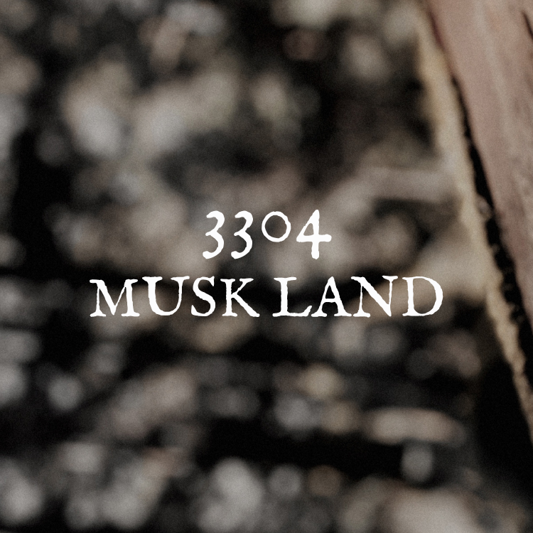 3304