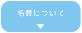 毛質について