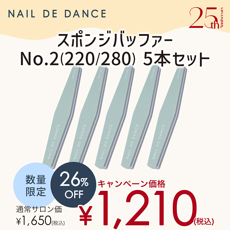 スポンジバッファーNo.2(220/280)5本セット