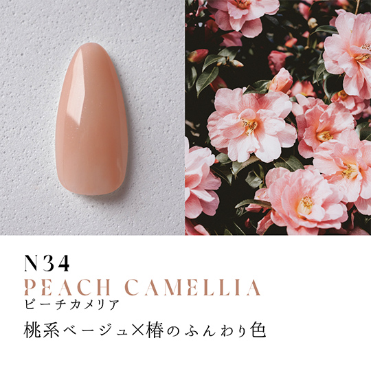 N34 ピーチカメリア