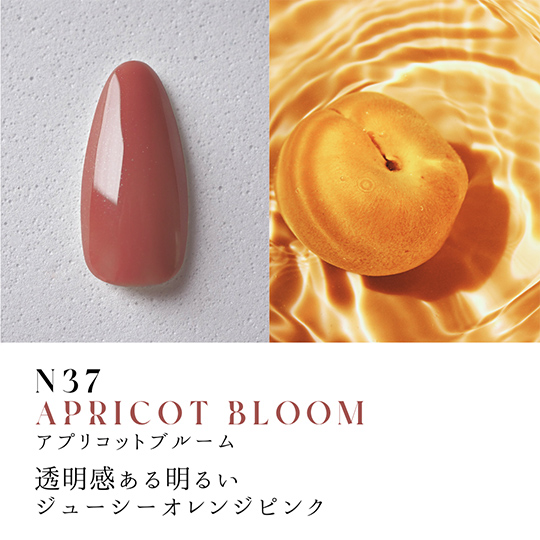 N37 アプリコットブルーム