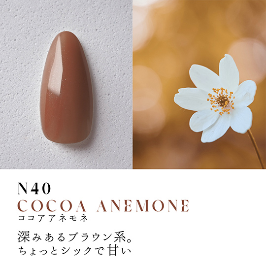 N40 ココアアネモネ