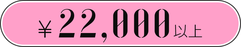 ￥22,000