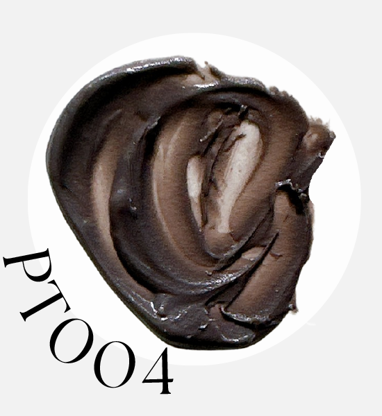 PT004