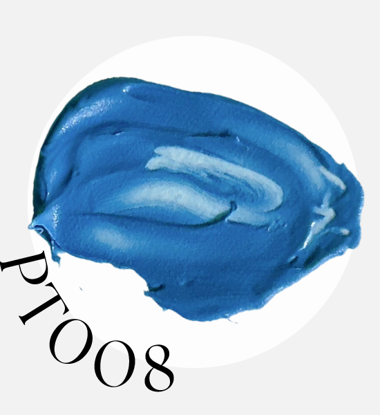 PT008