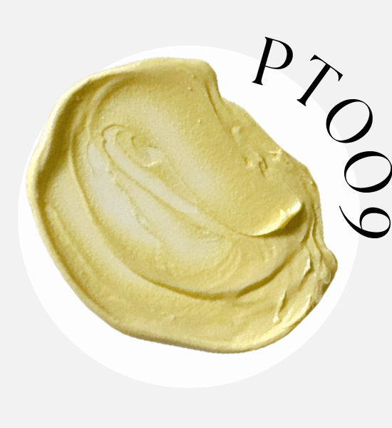 PT009