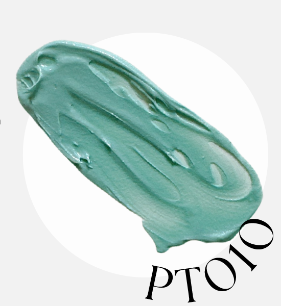 PT010