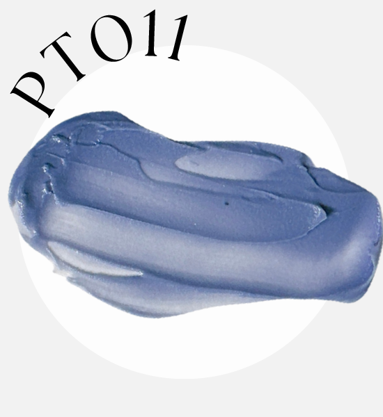 PT011