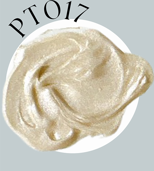PT017