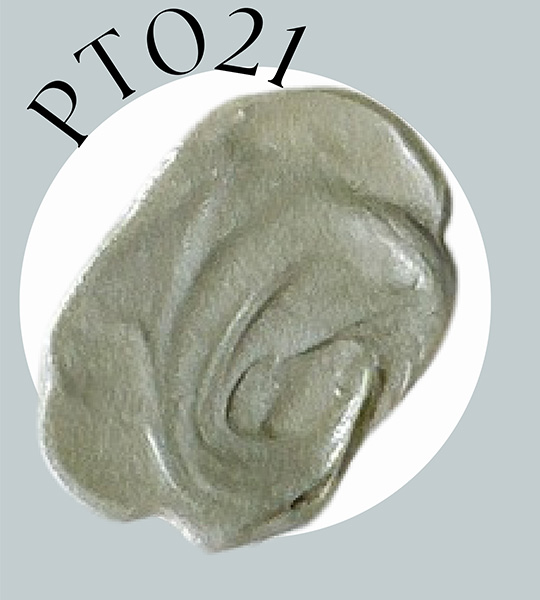 PT021