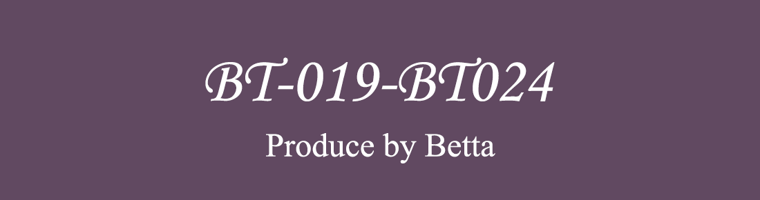 BT019-BT024
